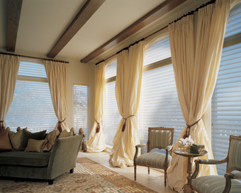SILHOUETTE HUNTER DOUGLAS-  FREE Estimates & FREE In-Home Consulation - Blinds, Shutters, Window Blinds, Plantation Shutters, Vertical Blinds, Mini Blinds, Wood Shutters, Venetian Blinds, Shades, Vinyl Blinds, Plantation Shutters, Window Shutters, Faux wood Blinds, Vertical Blinds, Wood Blinds, Roman Shades, Drapery, Draperies