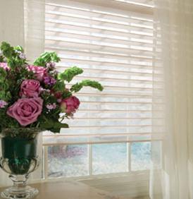 BLINDS  SHUTTERS, REPLACEMENT WINDOWS, CUSTOM SHADES, WINDOW