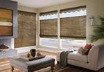 Orlando Shutter Company - Gator Blinds